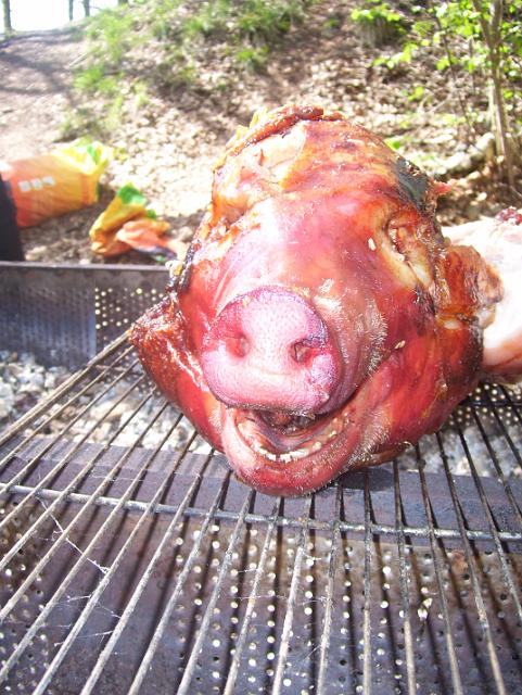 Steinkuhle 2008 (37).JPG